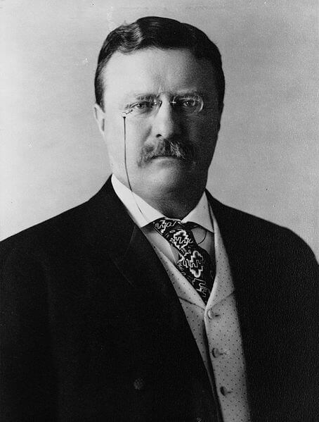 Theodore Roosevelt (1904)